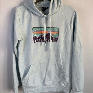 Patagonia Light Blue Hoodie with Logo